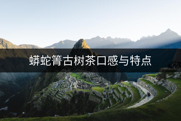 蟒蛇箐古樹茶口感與特點(diǎn)