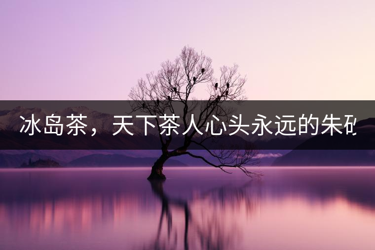 冰島茶，天下茶人心頭永遠(yuǎn)的朱砂痣！