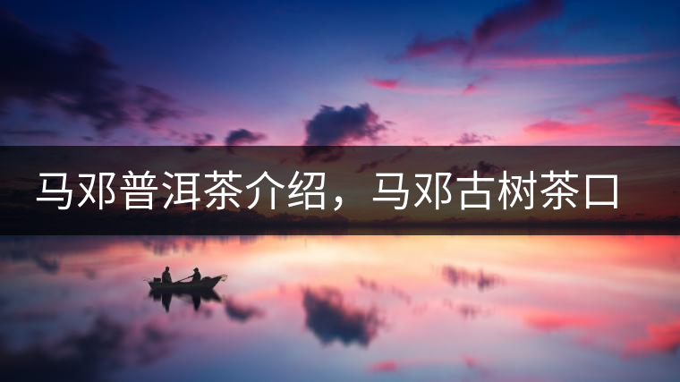 馬鄧普洱茶介紹，馬鄧古樹茶口感特點(diǎn)