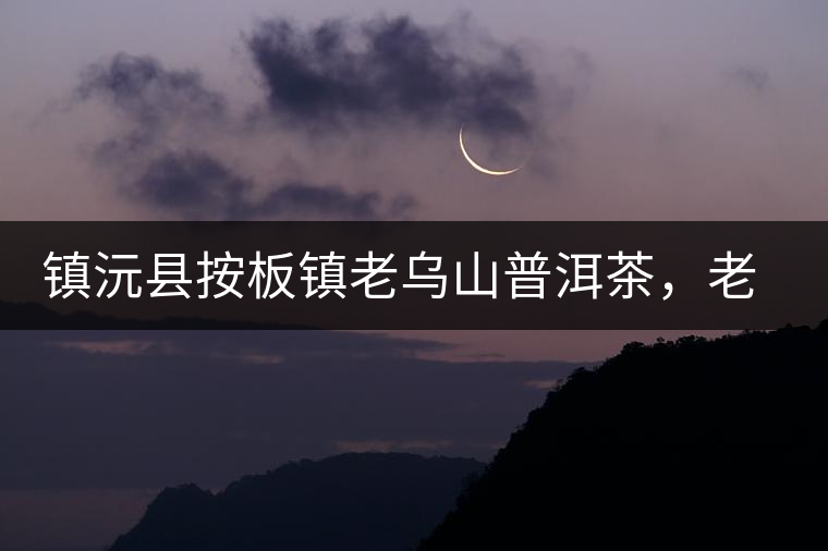 鎮(zhèn)沅縣按板鎮(zhèn)老烏山普洱茶，老烏山古樹茶口感特點(diǎn)