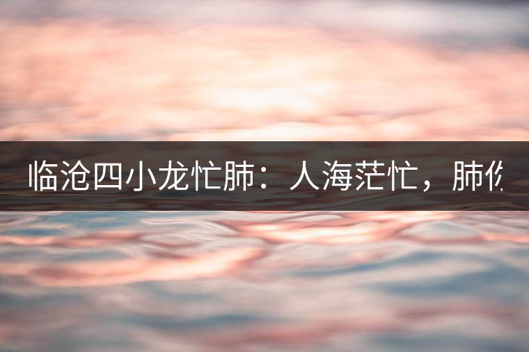 臨滄四小龍忙肺：人海茫忙，肺你莫屬！