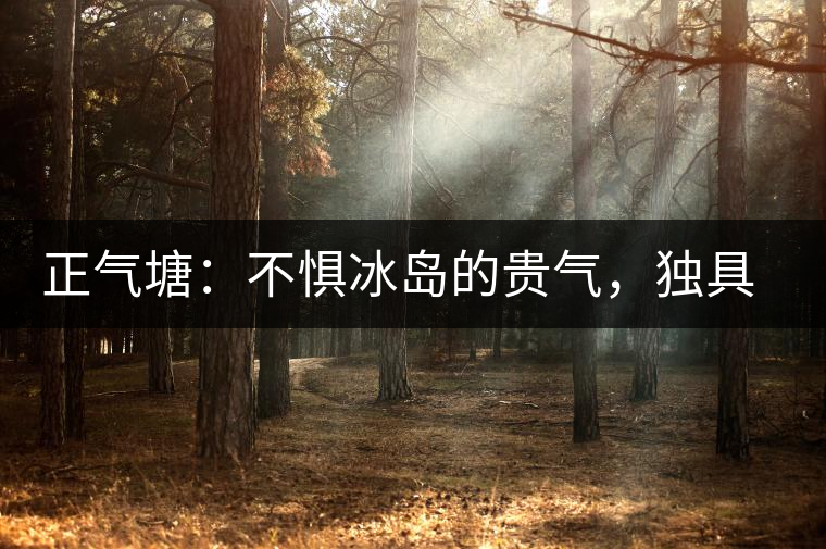 正氣塘：不懼冰島的貴氣，獨(dú)具冰島之魅力