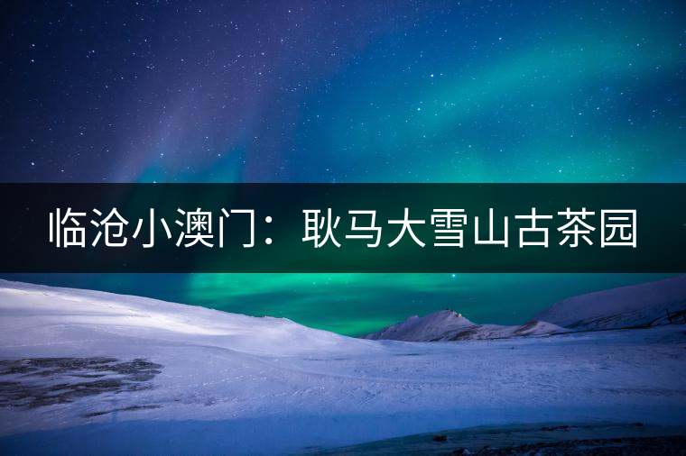 臨滄小澳門(mén)：耿馬大雪山古茶園