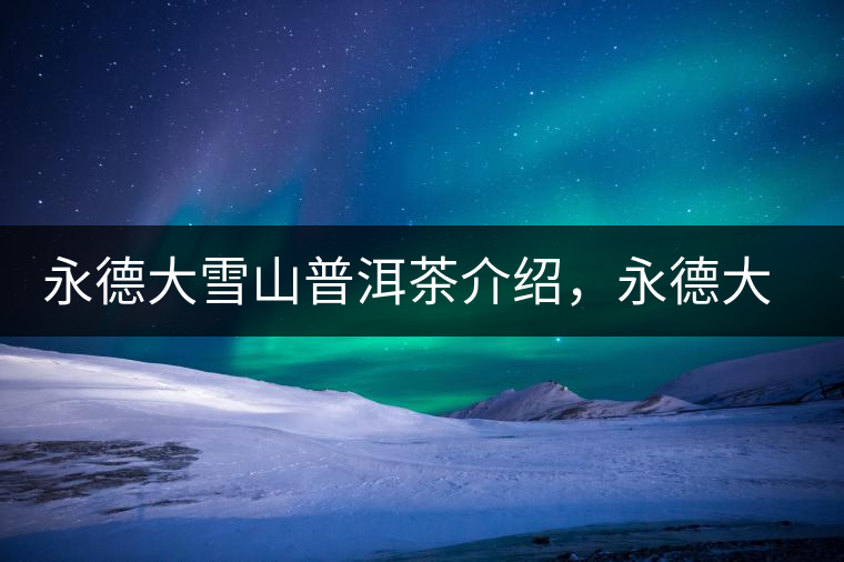 永德大雪山普洱茶介紹，永德大雪山古樹茶口感特點