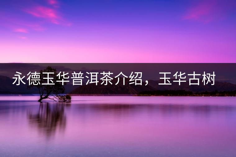 永德玉華普洱茶介紹，玉華古樹(shù)茶口感特點(diǎn)