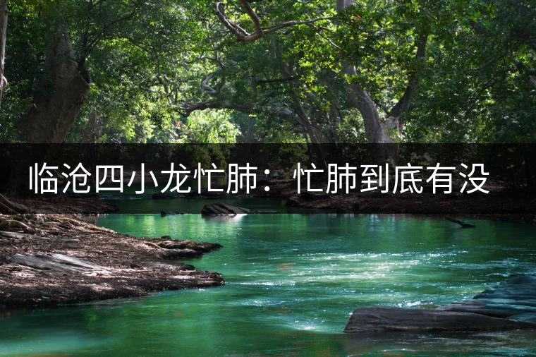 臨滄四小龍忙肺：忙肺到底有沒(méi)有古樹(shù)？