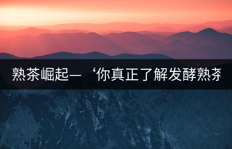 熟茶崛起—‘你真正了解發(fā)酵熟茶？’