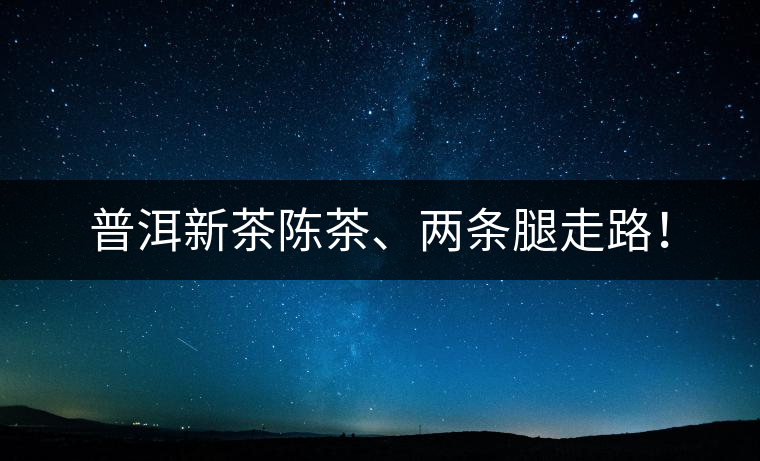 普洱新茶陳茶、兩條腿走路！