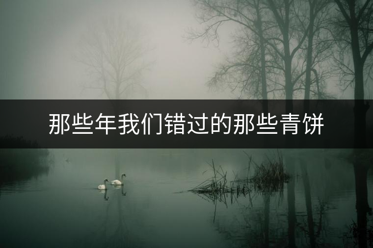 那些年我們錯(cuò)過的那些青餅