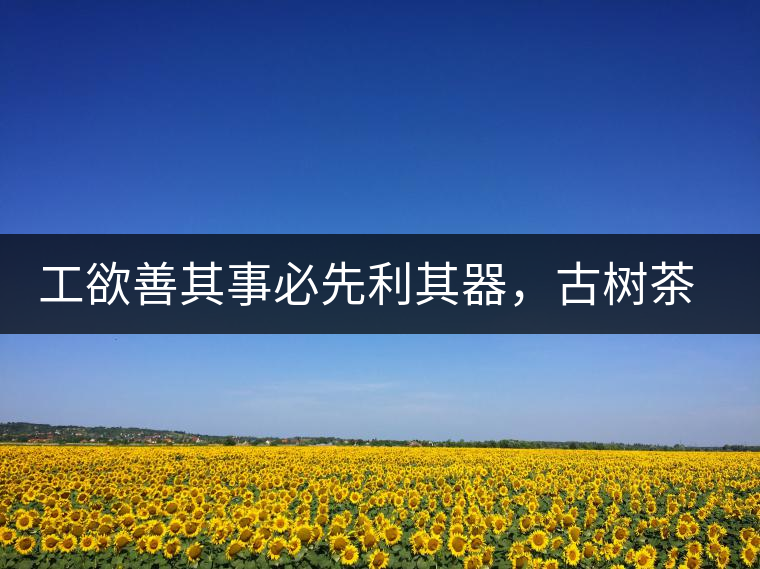 工欲善其事必先利其器，古樹茶用什么茶器最好？