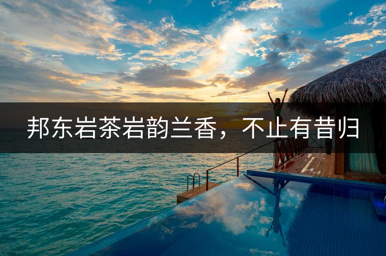 邦東巖茶巖韻蘭香，不止有昔歸