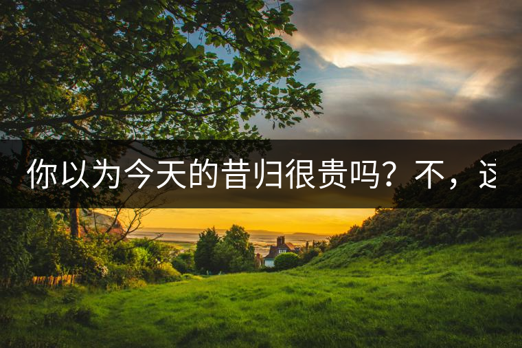 你以為今天的昔歸很貴嗎？不，這只是開始！