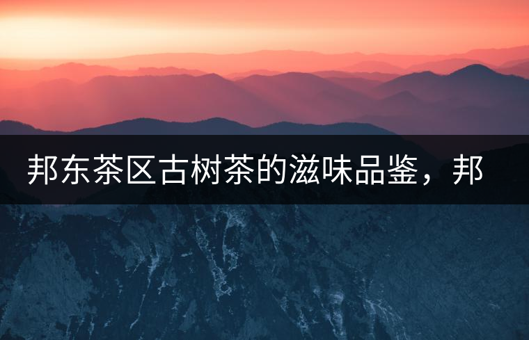 邦東茶區(qū)古樹茶的滋味品鑒，邦東普洱茶特點(diǎn)