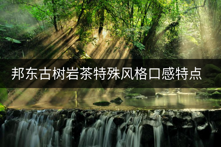 邦東古樹巖茶特殊風格口感特點的原因 邦東古樹巖茶特殊風格口感特點的原因