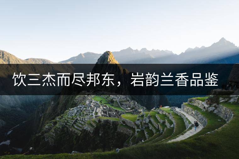 飲三杰而盡邦東，巖韻蘭香品鑒：生于山石上，韻味正當(dāng)