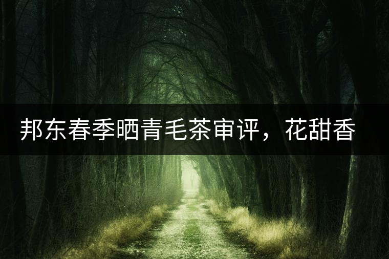 邦東春季曬青毛茶審評(píng)，花甜香高揚(yáng)甘爽潤(rùn)滑