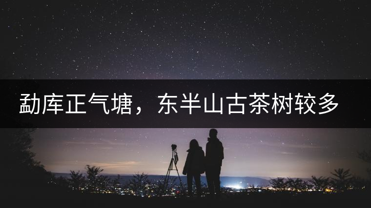 勐庫正氣塘，東半山古茶樹較多的寨子