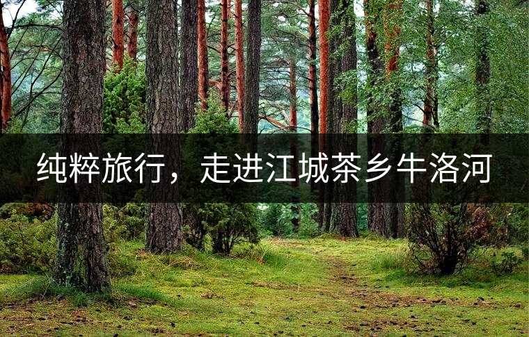 純粹旅行，走進(jìn)江城茶鄉(xiāng)牛洛河