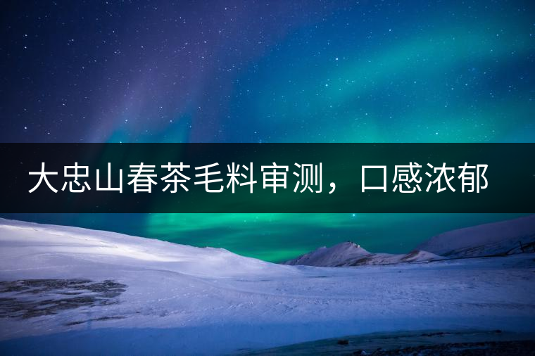大忠山春茶毛料審測，口感濃郁花香與甜潤口感相得益彰