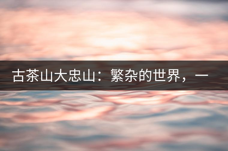 古茶山大忠山：繁雜的世界，一杯就夠了