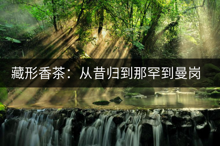 藏形香茶：從昔歸到那罕到曼崗，邦東古茶藏著一條規(guī)律！