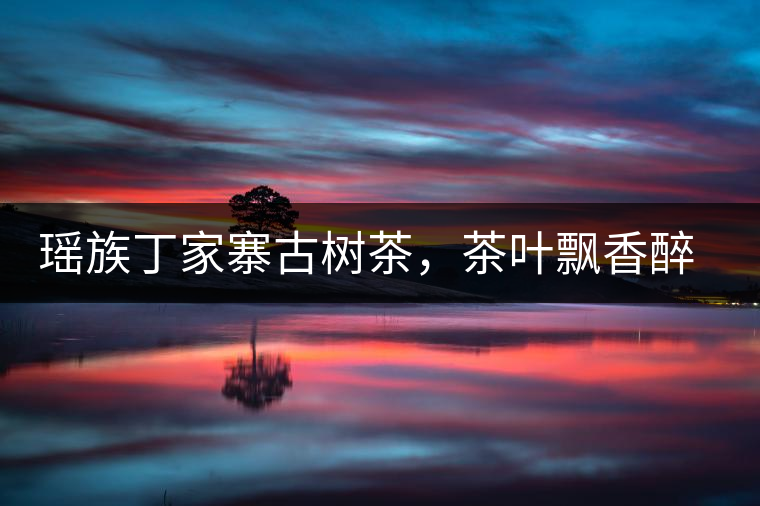 瑤族丁家寨古樹茶，茶葉飄香醉萬家