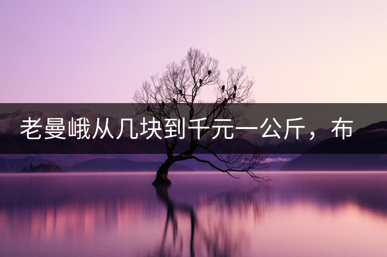 老曼峨從幾塊到千元一公斤,布朗山茶是怎么改變少數(shù)民族命運(yùn)的 老曼峨從幾塊到千元一公斤,布朗山茶是怎么改變少數(shù)民族命運(yùn)的
