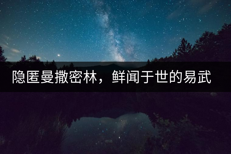 隱匿曼撒密林，鮮聞于世的易武一扇磨古樹茶