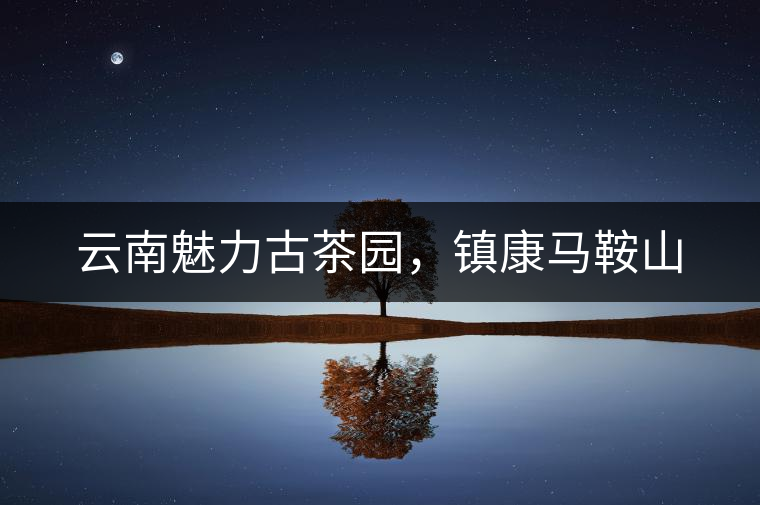 云南魅力古茶園，鎮(zhèn)康馬鞍山
