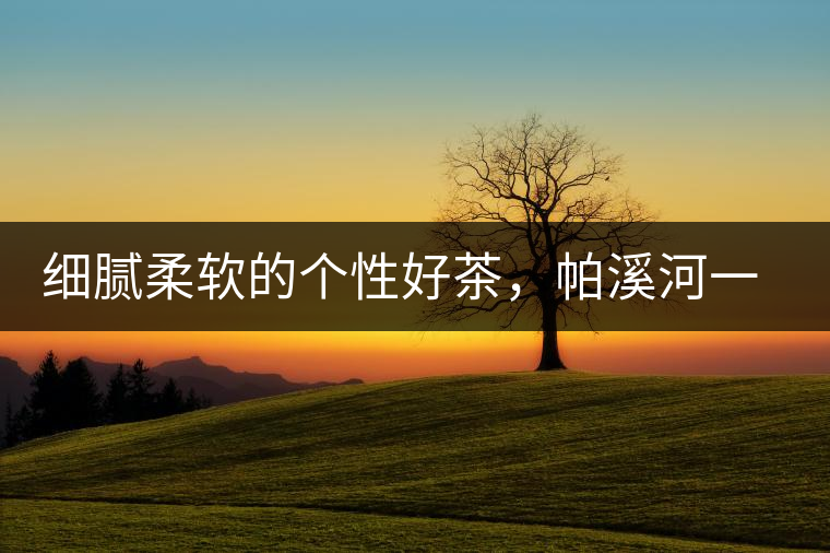 細(xì)膩柔軟的個(gè)性好茶，帕溪河一扇磨古樹(shù)茶