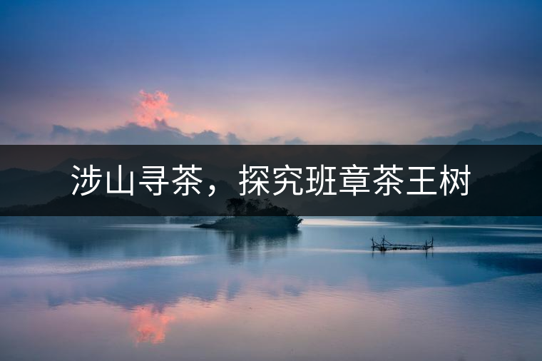 涉山尋茶，探究班章茶王樹(shù)