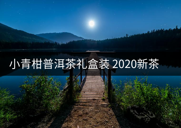 小青柑普洱茶禮盒裝 2020新茶新會陳皮柑普洱茶云南熟茶葉250克 小青柑普洱茶禮盒裝 2020新茶新會陳皮柑普洱茶云南熟茶葉250克