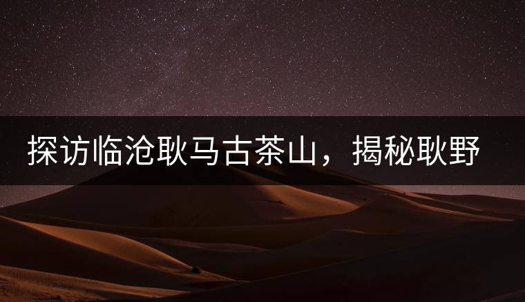 探訪臨滄耿馬古茶山，揭秘耿野生古茶樹群落