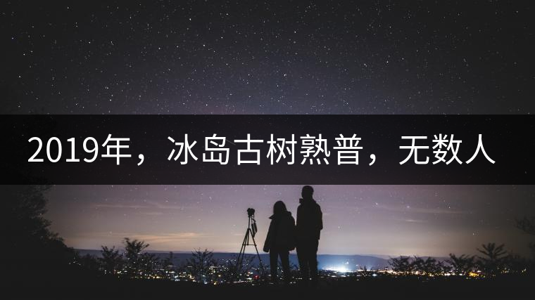 2019年，冰島古樹熟普，無數(shù)人在尋找