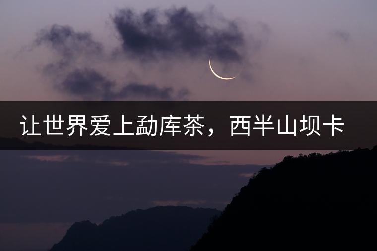 讓世界愛上勐庫茶，西半山壩卡古樹茶特點(diǎn)介紹