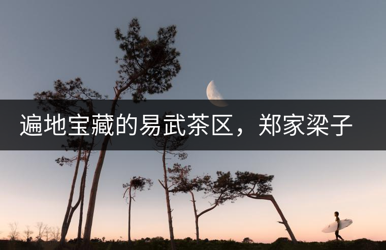 遍地寶藏的易武茶區(qū)，鄭家梁子荒田村古樹茶介紹