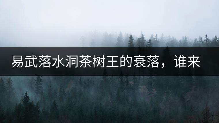 易武落水洞茶樹王的衰落，誰來關注古樹茶？