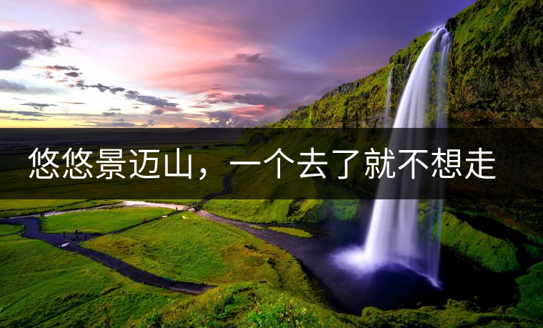 悠悠景邁山，一個去了就不想走的地方