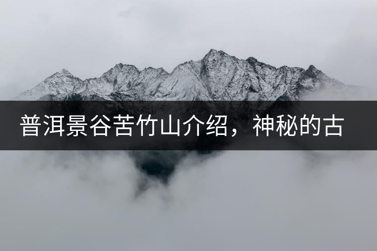 普洱景谷苦竹山介紹，神秘的古樹(shù)普洱茶原產(chǎn)地