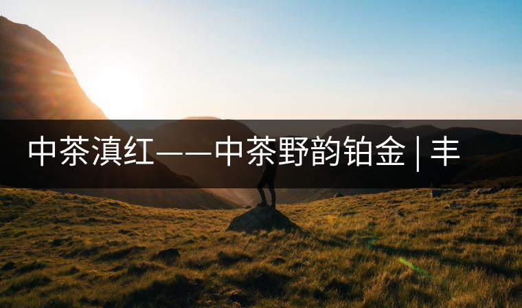 中茶滇紅——中茶野韻鉑金 | 豐苗挺秀，山野花香