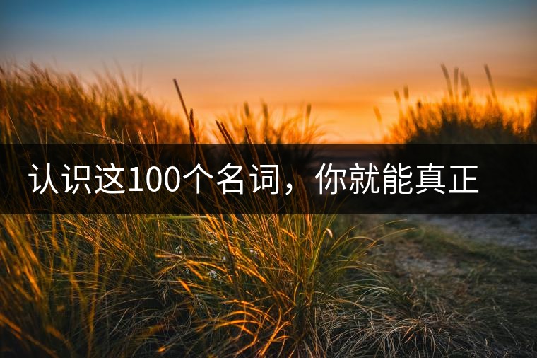 認(rèn)識這100個(gè)名詞，你就能真正了解普洱茶？