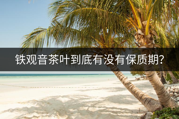 鐵觀音茶葉到底有沒有保質(zhì)期？