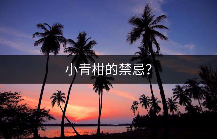 小青柑的禁忌？