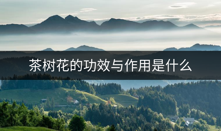 茶樹花的功效與作用是什么 茶樹花的功效與作用是什么