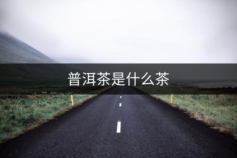 普洱茶是什么茶 普洱茶是什么茶