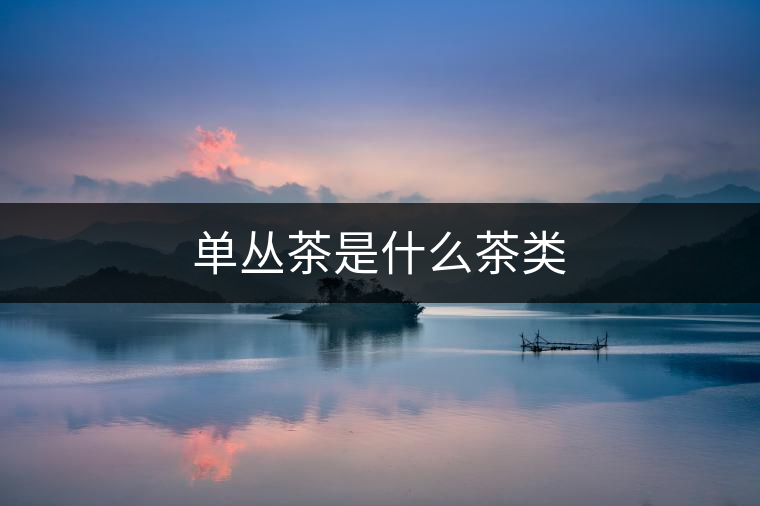 單叢茶是什么茶類 單叢茶是什么茶類