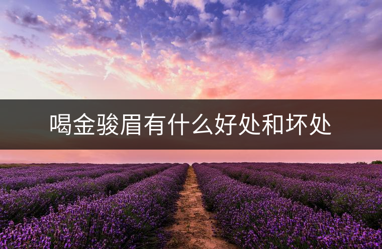 喝金駿眉有什么好處和壞處 喝金駿眉有什么好處和壞處