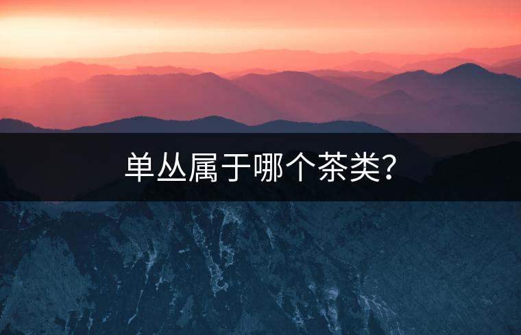 單叢屬于哪個(gè)茶類？