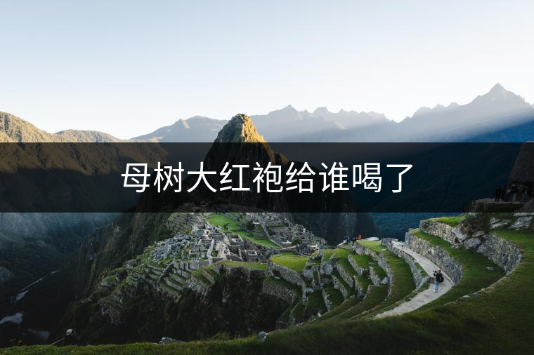 母樹大紅袍給誰喝了