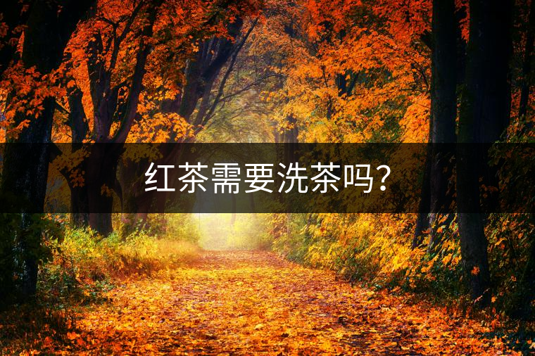 紅茶需要洗茶嗎？